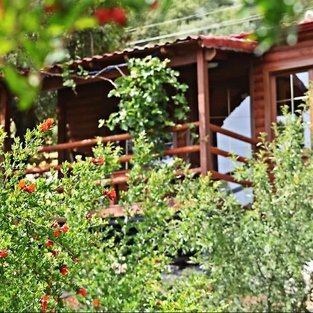 Bed & Breakfast Kas Doga Park Hotel *