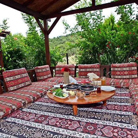 Bed & Breakfast Kas Doga Park Hotel *